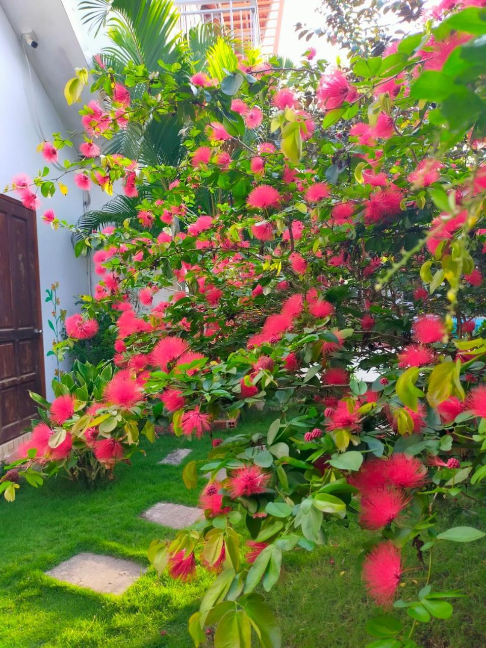Serenity Garden Phú Quốc Exterior foto